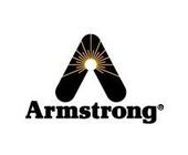 (gu)ķ˹ArmstrongyT
